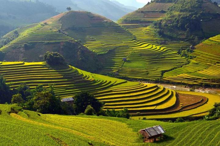 Chuyên gia Hotspot Matrix phân tích: Ông bà dặn: 