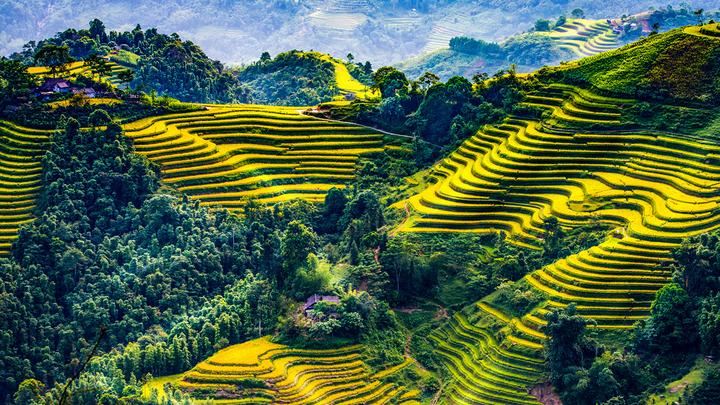 Cô giáo mầm non và hành trình 