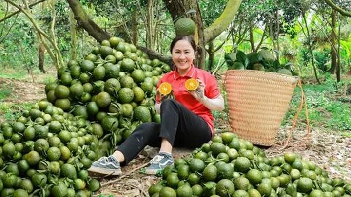 Kích thước to bất thường: Tôm nuôi theo phương pháp tự nhiên sẽ có kích thước không