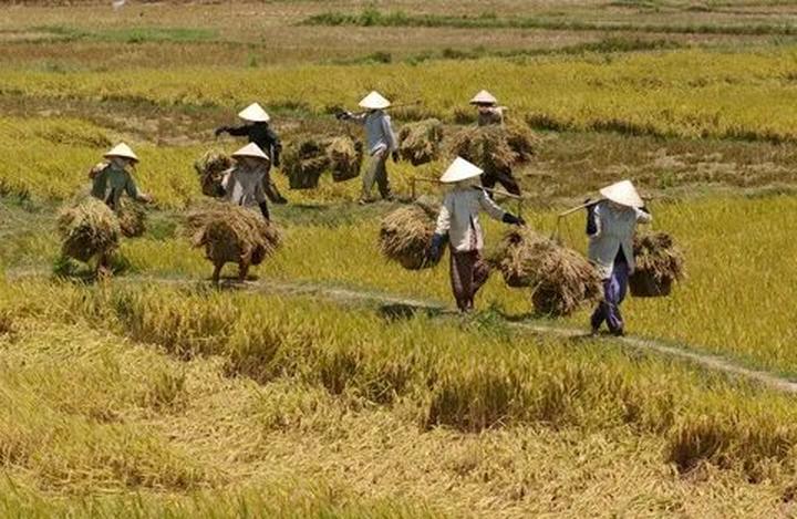 Giá mẫu iPhone này đang 